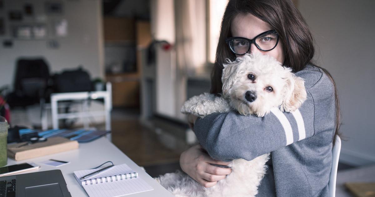 Partnersuche mit hund osterreich
