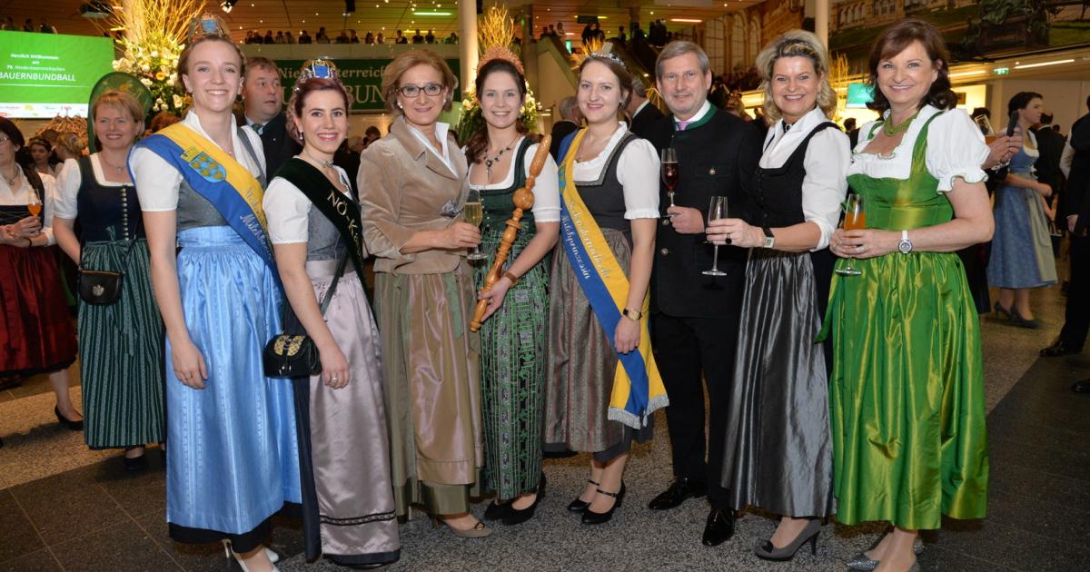 Partnersuche wien nö
