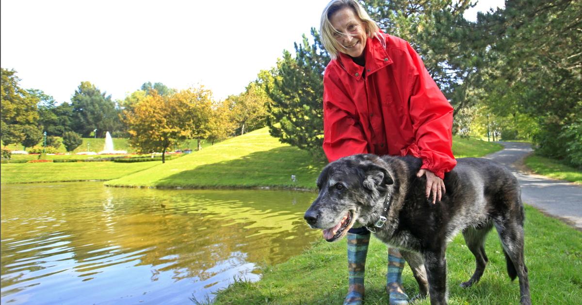 Frauchen will Hund retten und gerät selbst in Not kurier.at