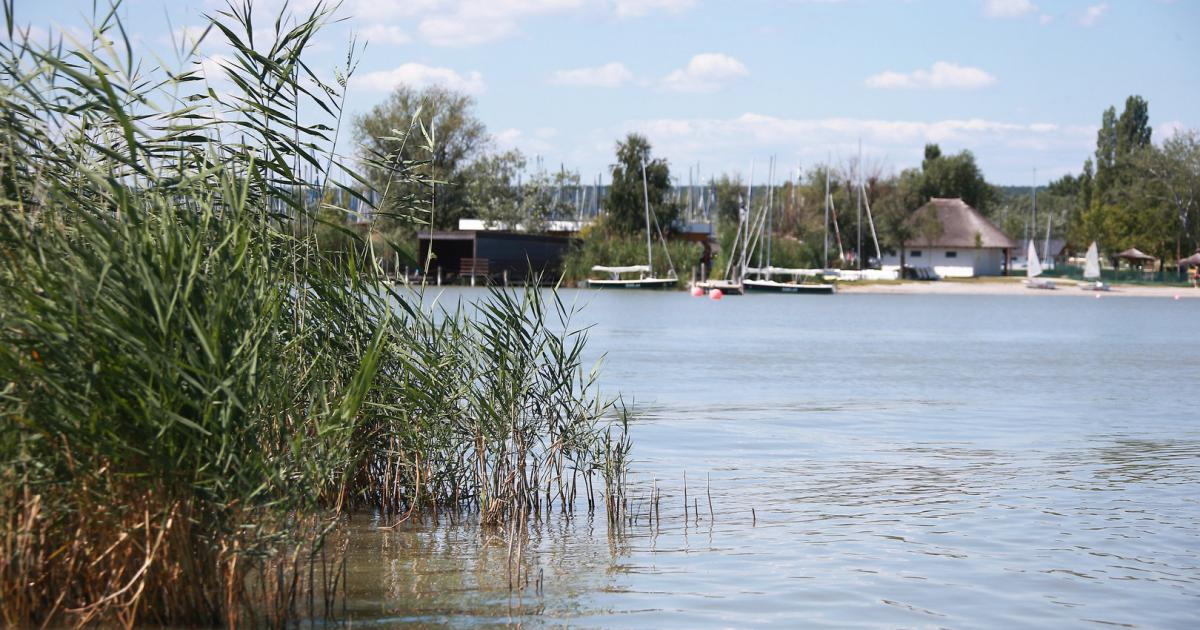 Burgenland partnersuche