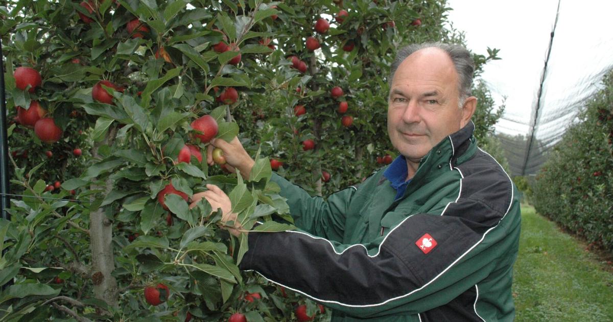 Sch-dling-im-Obstgarten-2-000-B-ume-m-ssen-gerodet-werden