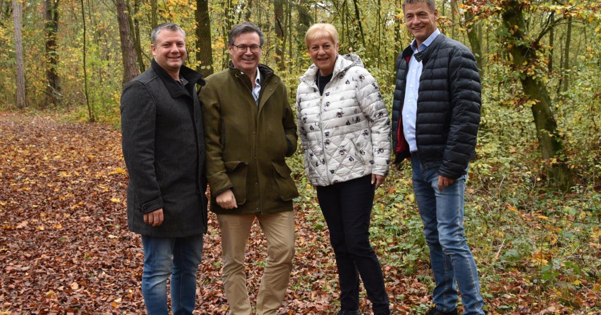 Partnersuche amstetten