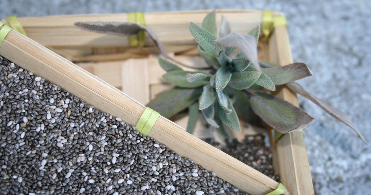 Medizin-Mythen: Senken Chia-Samen Blutzucker und Cholesterin? - kurier.at