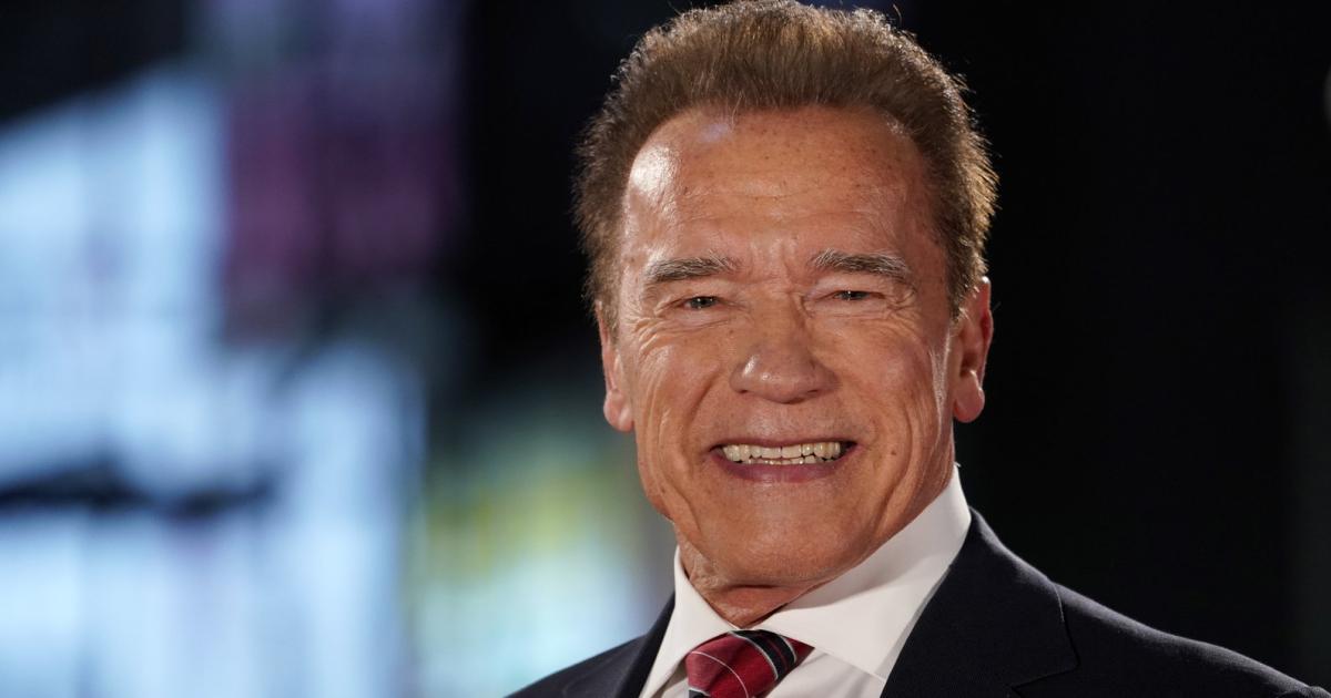 Arnold Schwarzenegger überraschte die Partnerwahl seiner ...