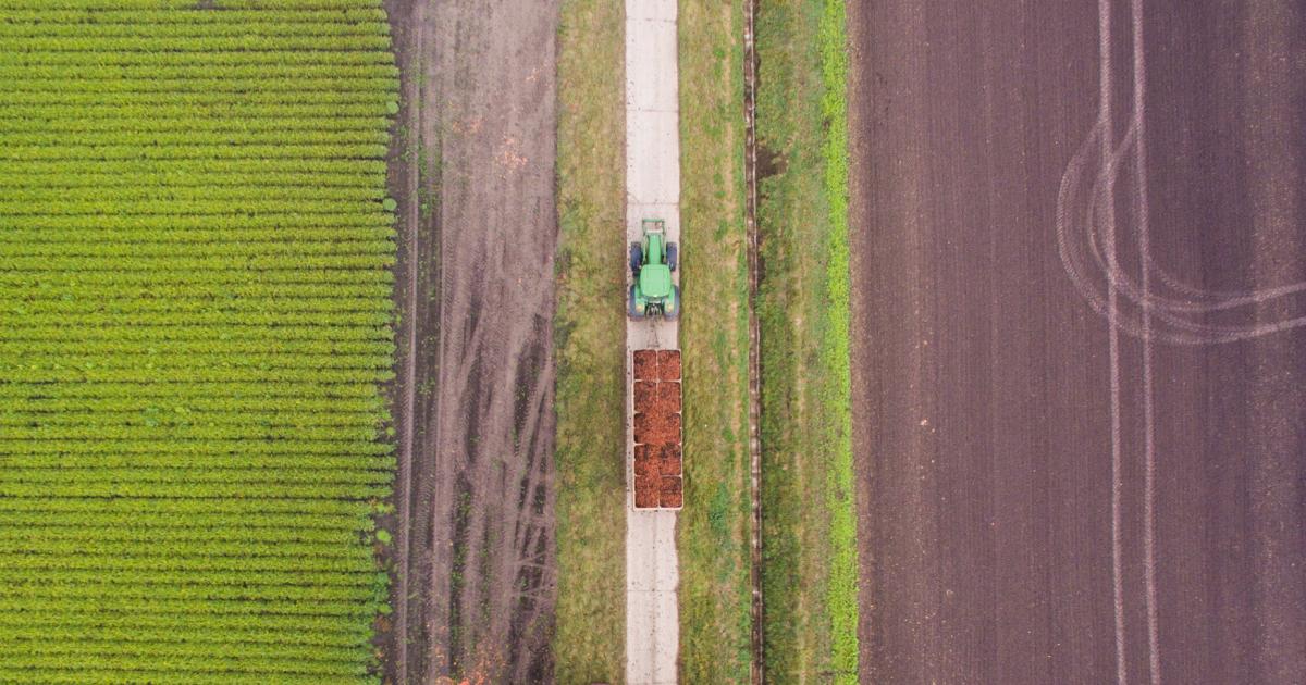 Streit um EU-Subventionen: "Green Deal" ohne Landwirtschaft? | kurier.at