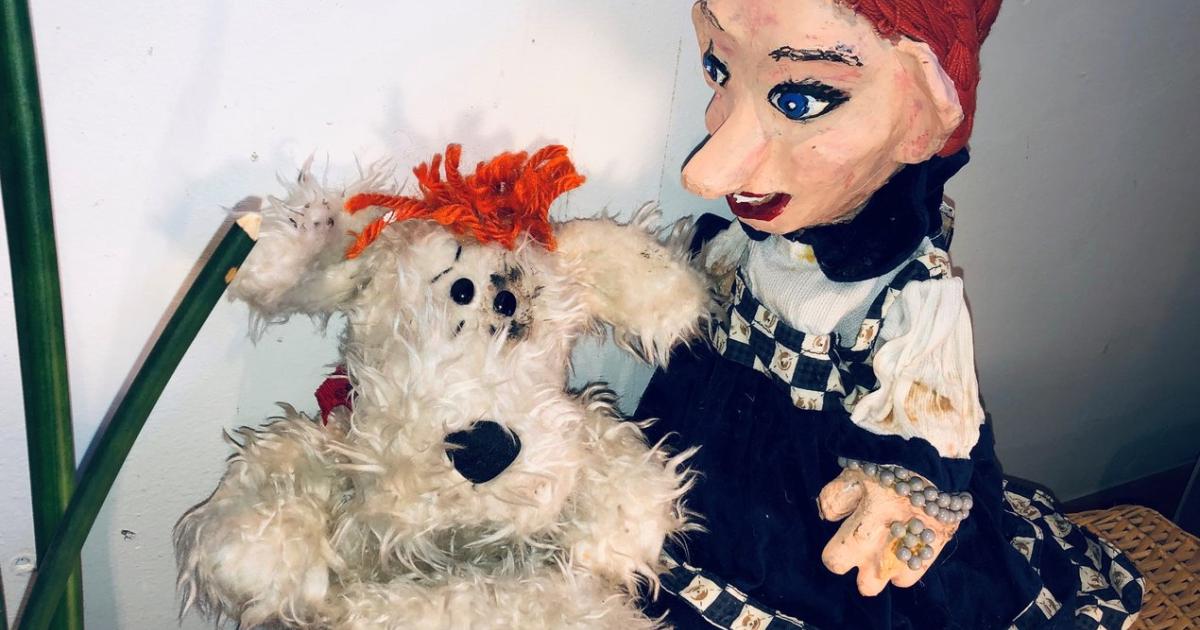 Partnersuche mit hund osterreich