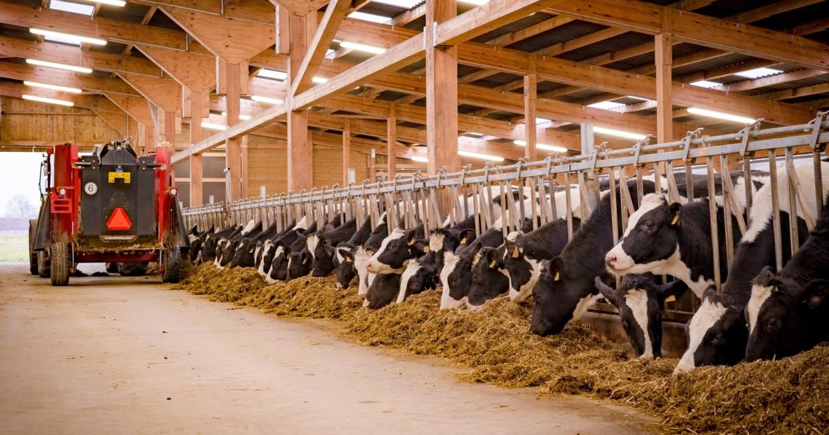 Partnersuche landwirtschaft österreich
