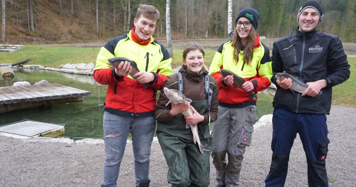 Partnersuche fur bauern