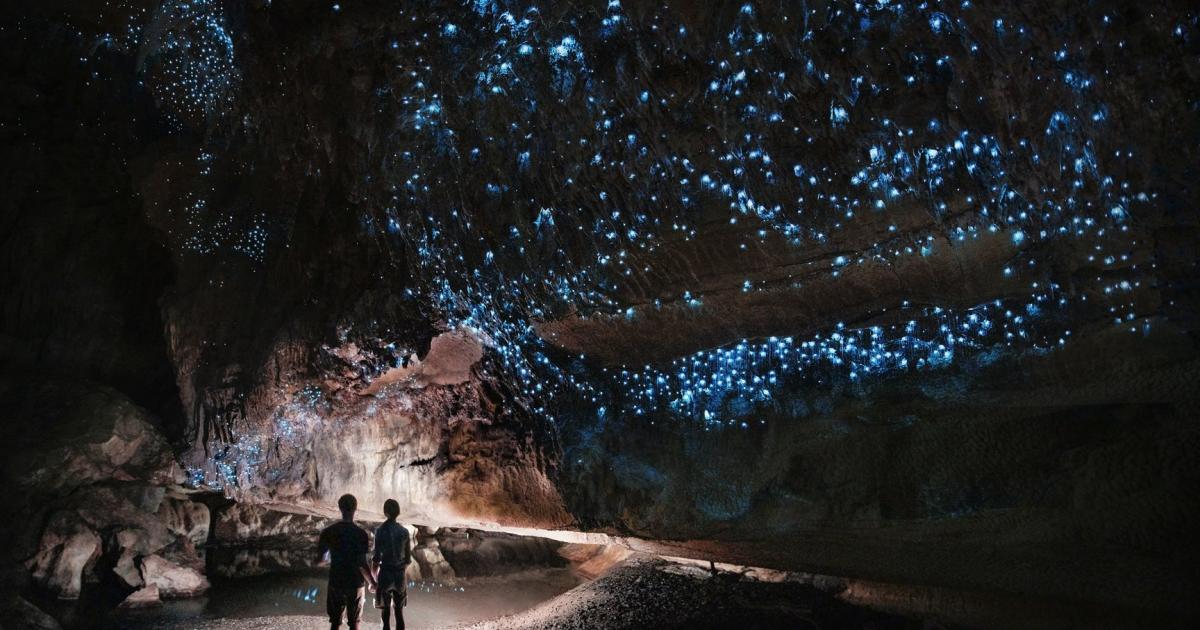 Neuseeland: Eine Glühwürmchen-Galaxie unter der Erde | kurier.at