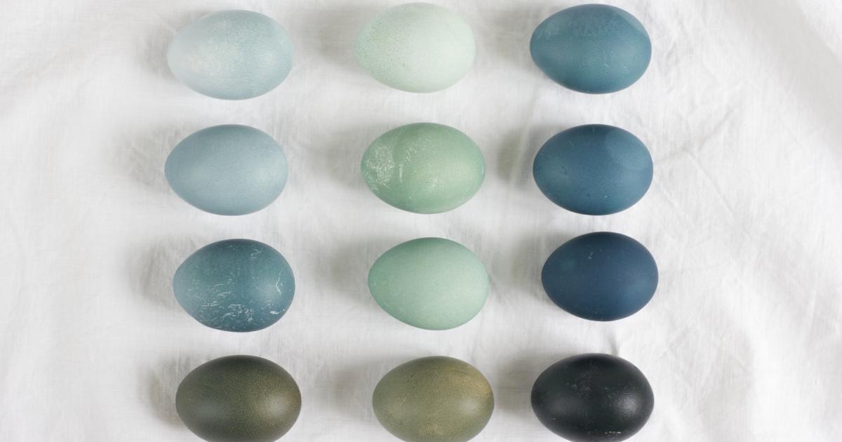 Eier natürlich färben: So geht's | kurier.at