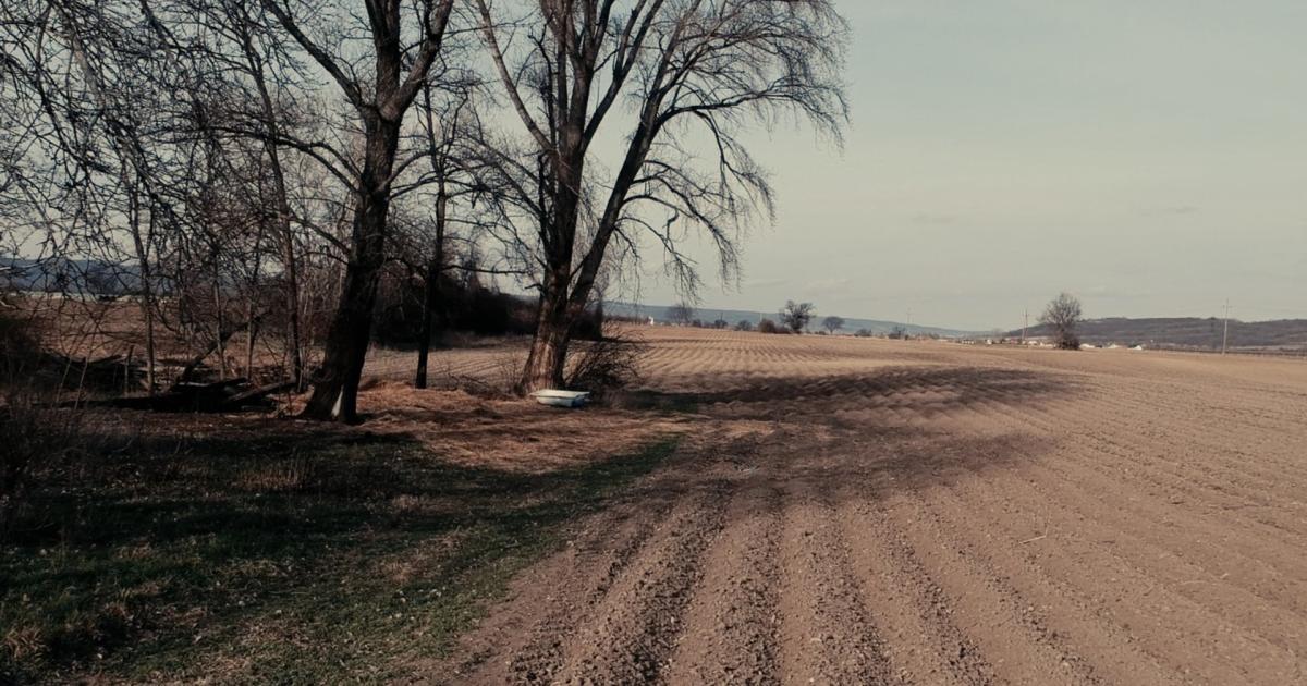 Dunkle Spuren Die Tote aus dem Burgenland kurier.at