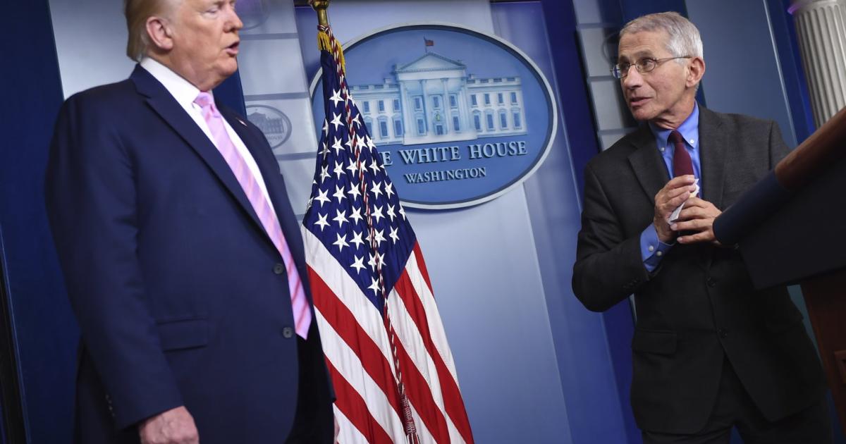 Trump Ignorierte Sie Warum Die Winklevoss Brüder Ihren Wall Street Wunsch Nicht Durchsetzen Konnten - twq705i