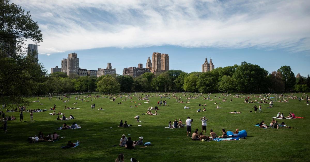 New York: Woman calls police about African-American bird watchers