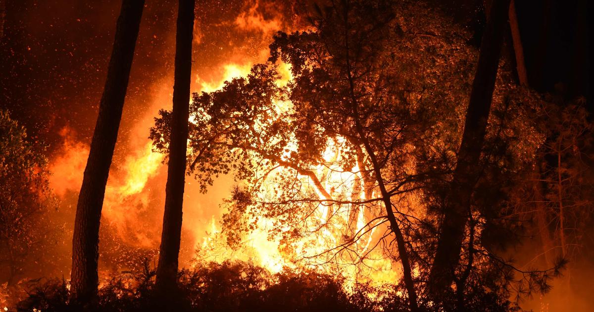 Heftige Waldbrände in Südfrankreich | kurier.at