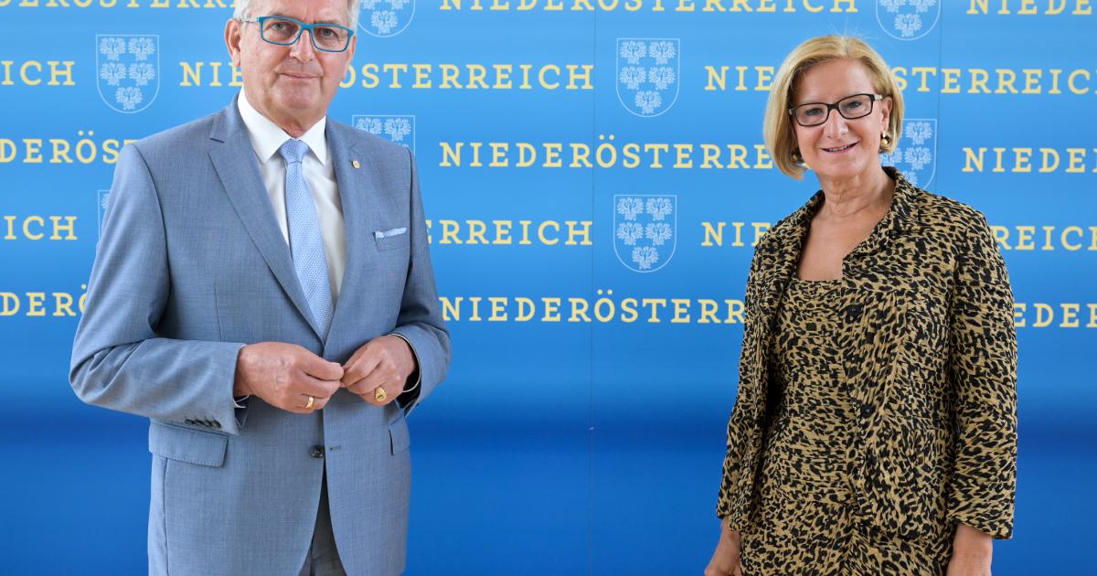 Partnersuche kostenlos nö