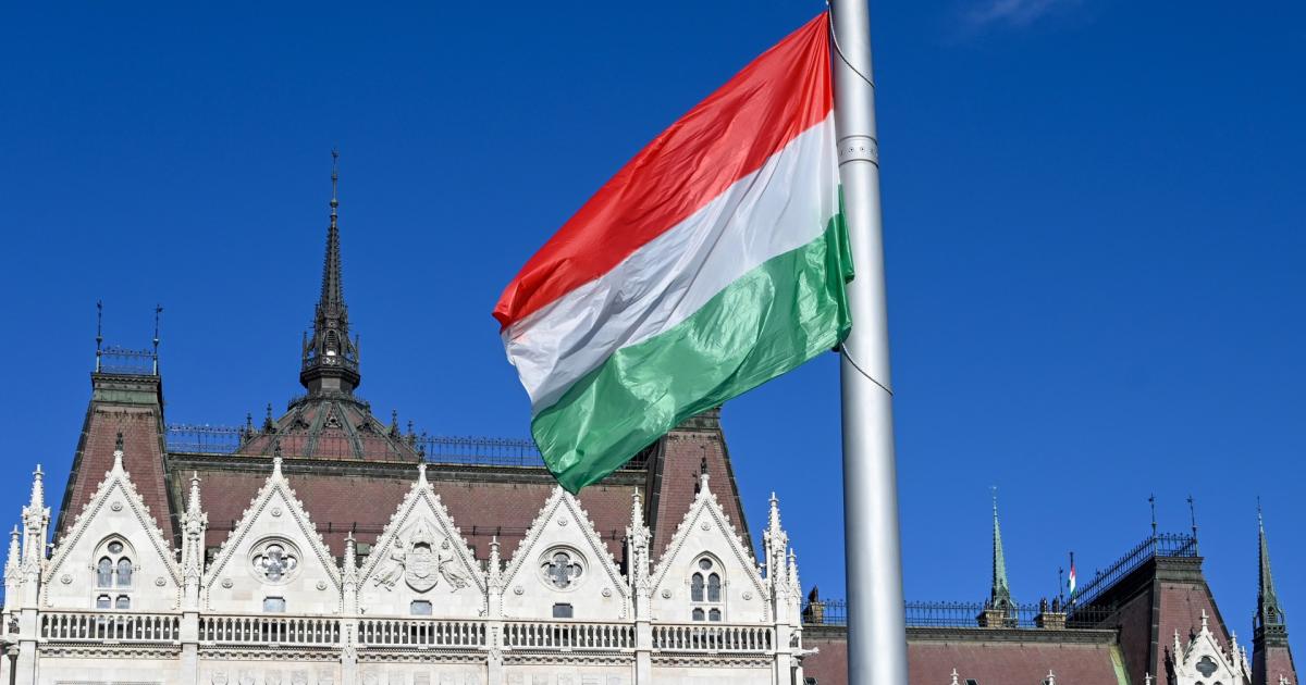 Hungary’s Court of Auditors worries about “too feminine” upbringing