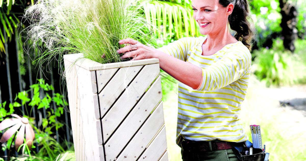 Bepflanzter Sichtschutz für den Garten kurier.at