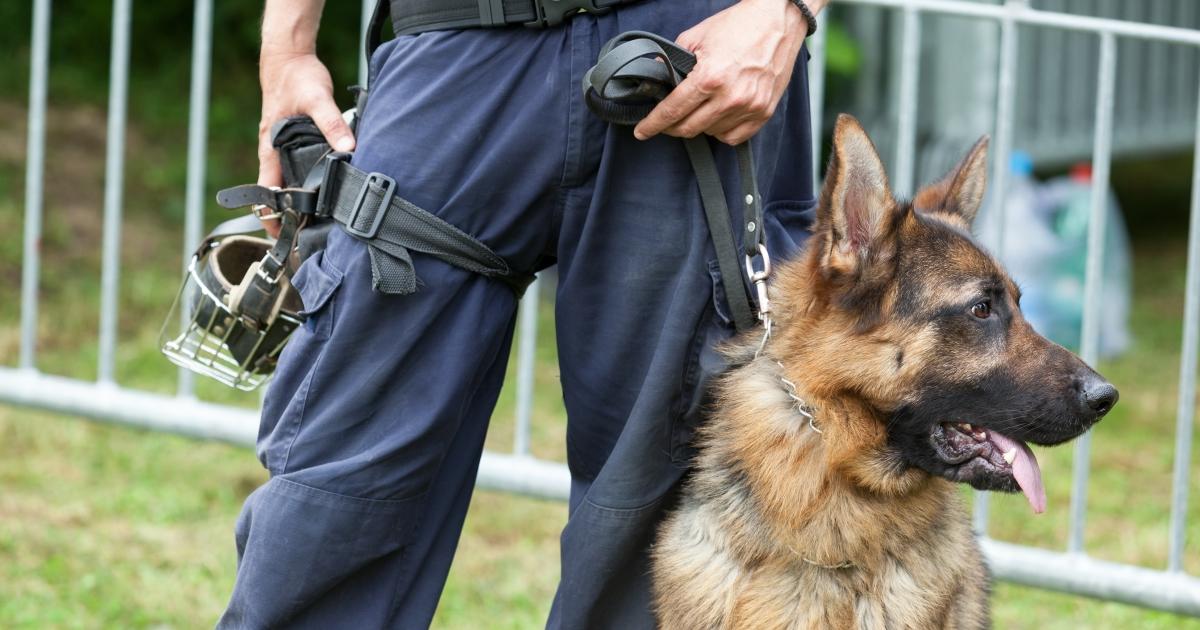 Partnersuche 60 jährige