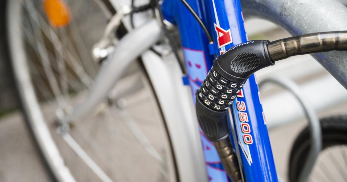 gesuchter-fahrraddieb-in-wien-bei-personenkontrolle-geschnappt