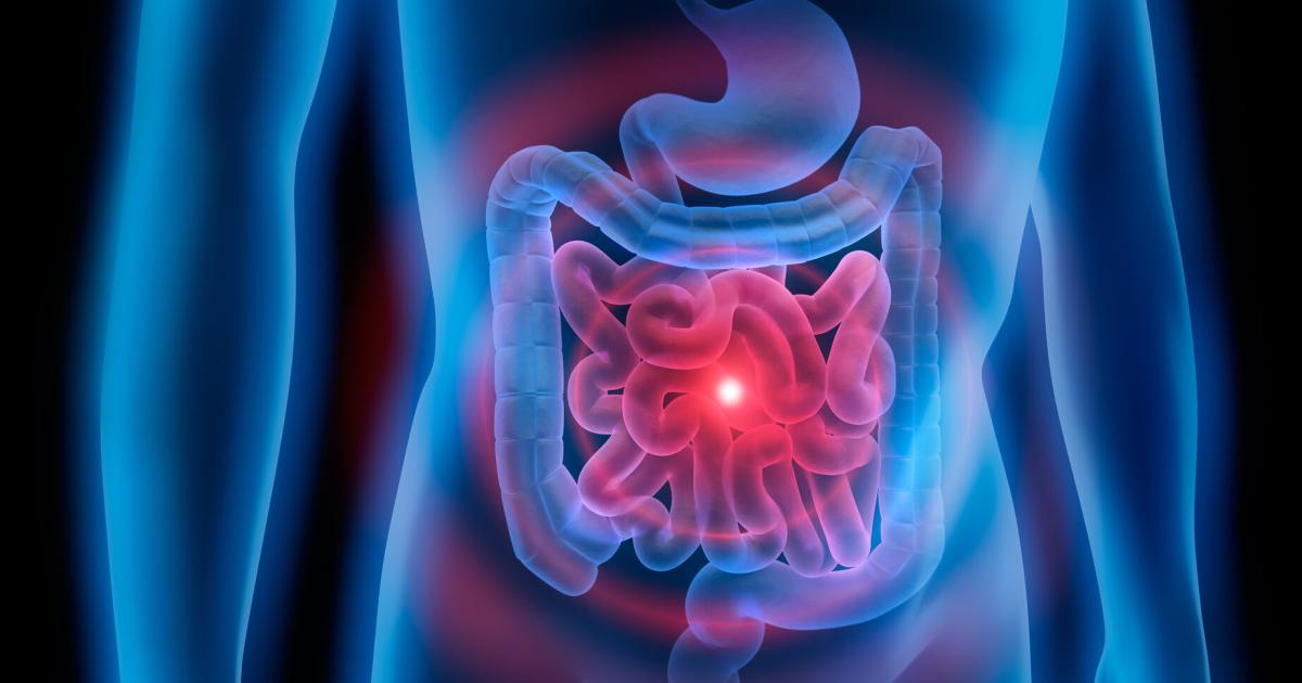 Mikrobiom-Wie-Darmbakterien-ber-Gesundheit-und-Krankheit-entscheiden