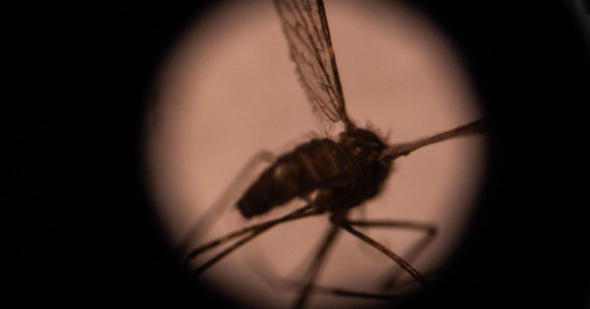 Perubahan iklim meningkatkan penyebaran malaria