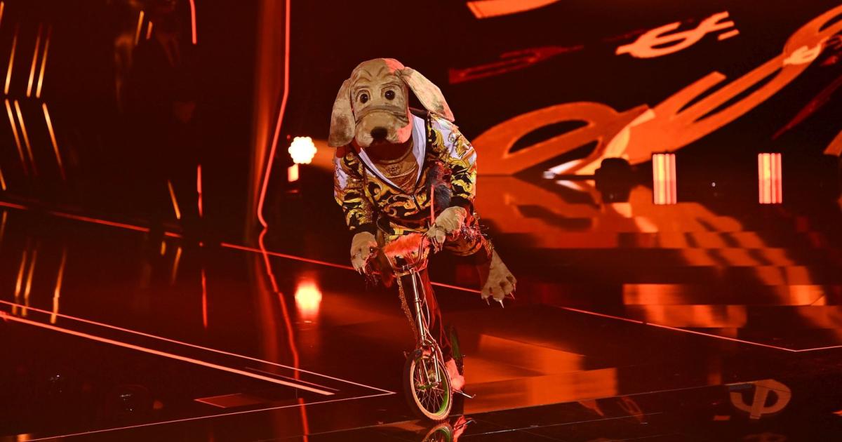 Für den Dackel hat es sich bei "Masked Singer Austria ...