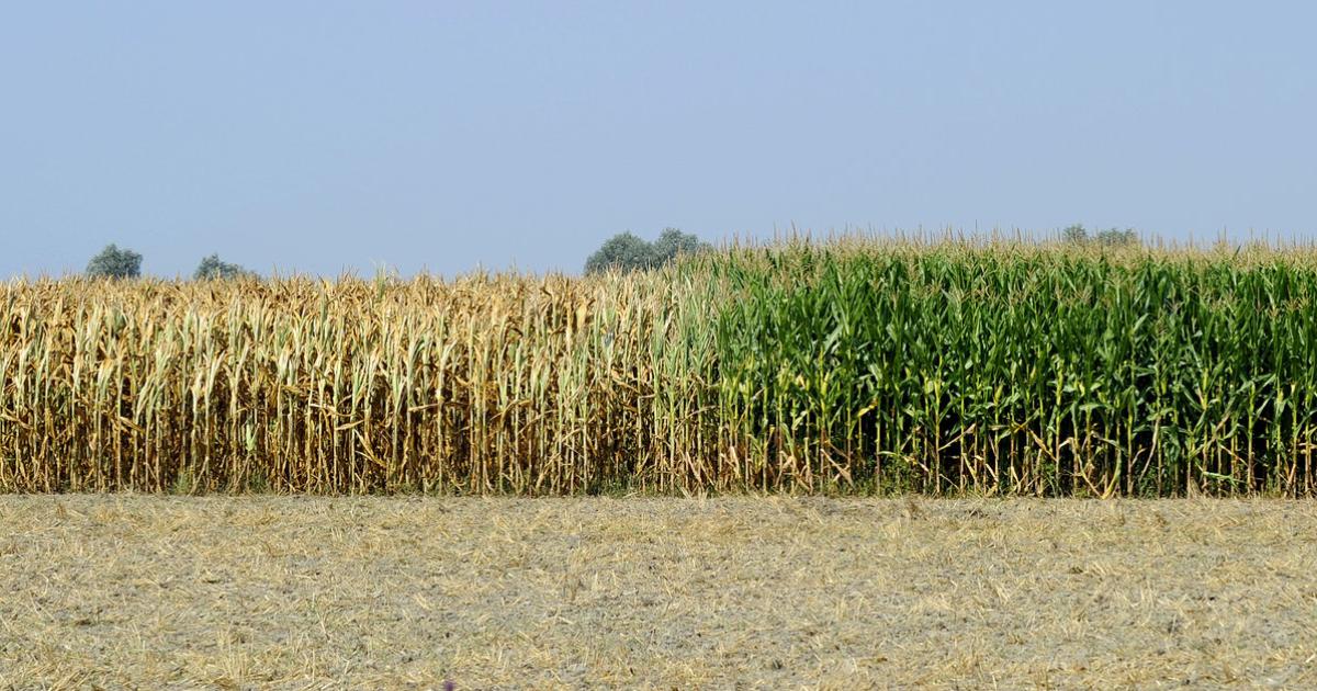 Partnersuche landwirtschaft österreich