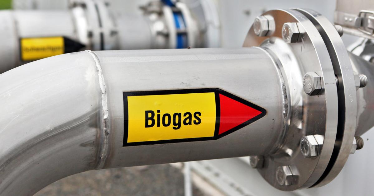 Biogas could replace a quarter of domestic natural gas consumption