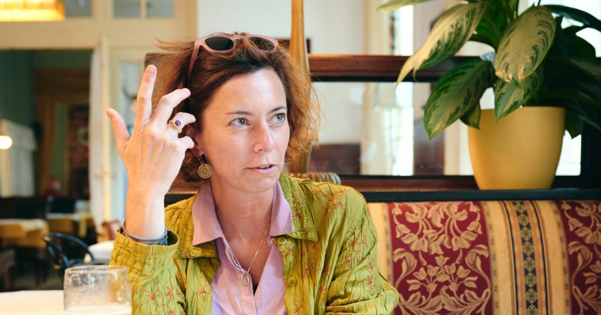 Eva-Menasse-Debatten-werden-immer-feindseliger-gef-hrt-