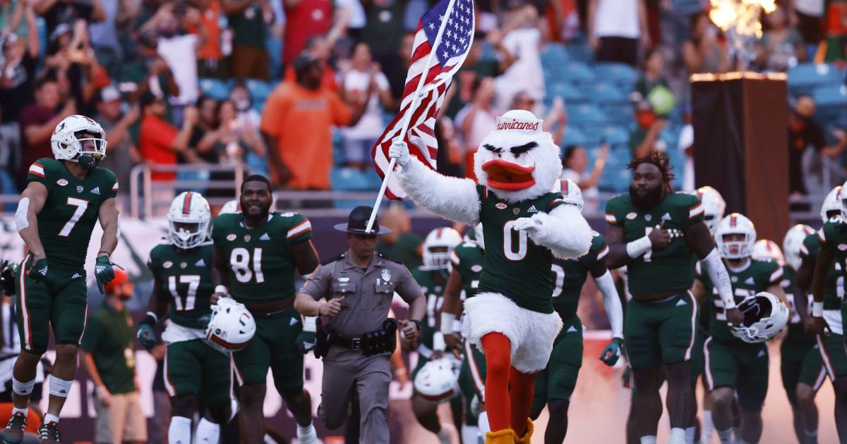 Video: Football fans rescue a falling cat with a USA flag