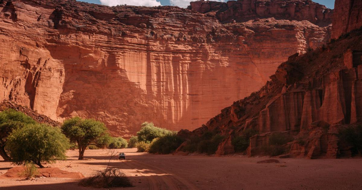 Argentina: entre paisajes lunares y viñedos