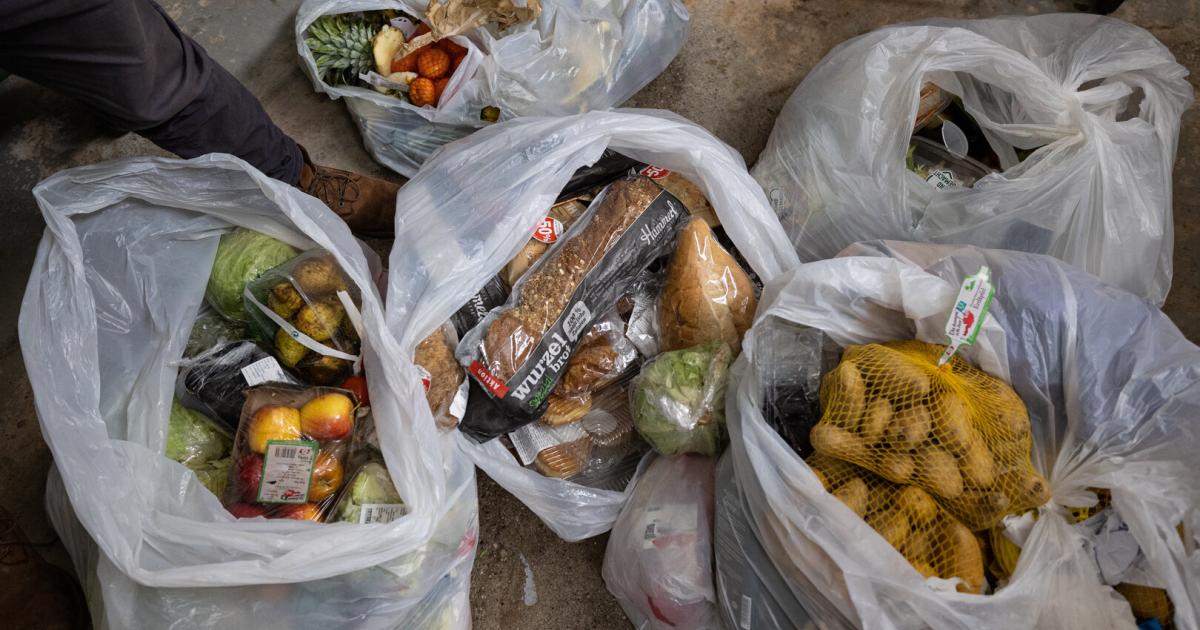Austrian Supermarkets Mandated to Report Food Waste and Donations, Revealing Wasteful Practices
