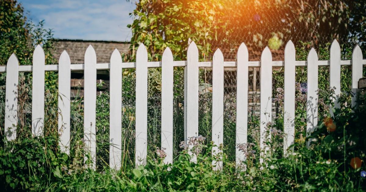 58+ Wer Ist Für Den Zaun Zuständig, Im eigentum derjenigen person,
