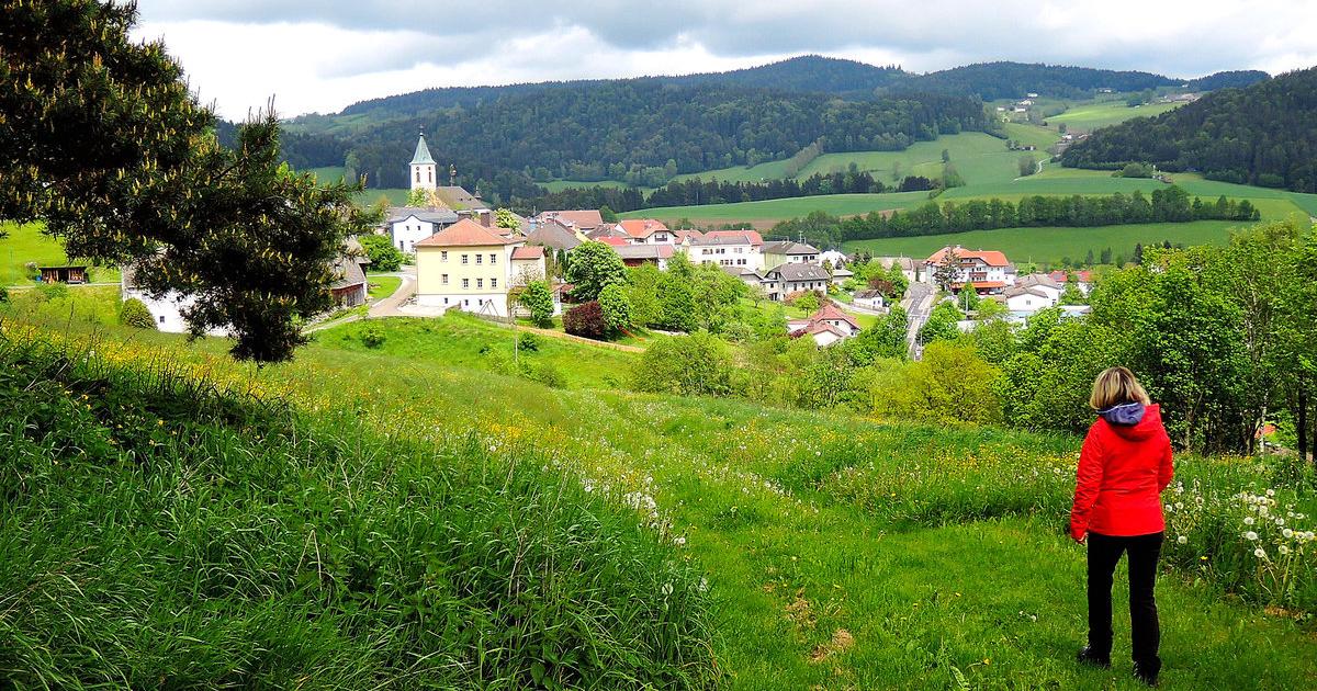 Marchtrenk meine stadt single. Meine kontakt partnervermittlung aus gro gerungs stadt partnersuche hofsttten an der raab. Ulrichsberg single treffen. Kontakt partnervermittlung aus gro gerungs: Mnner