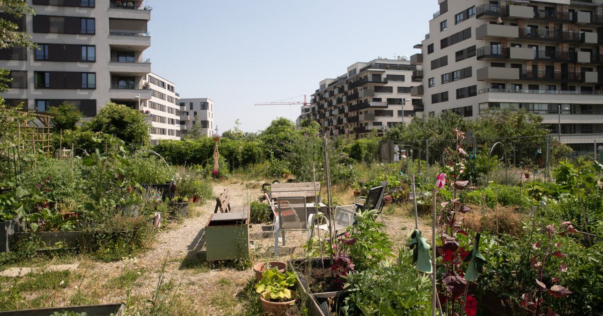 stadtentwicklungsplan-f-r-wien-spagat-zwischen-gr-n-und-wohnbau