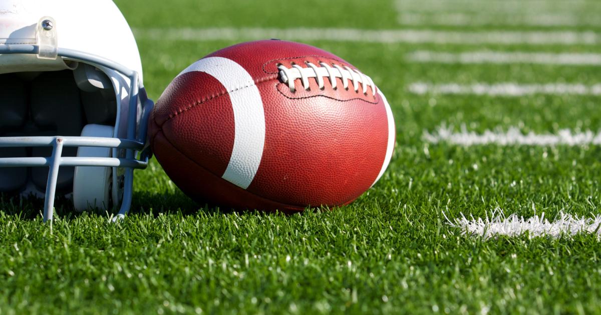 Spiele-strafverifiziert-Vienna-Vikings-verlieren-Meistertitel