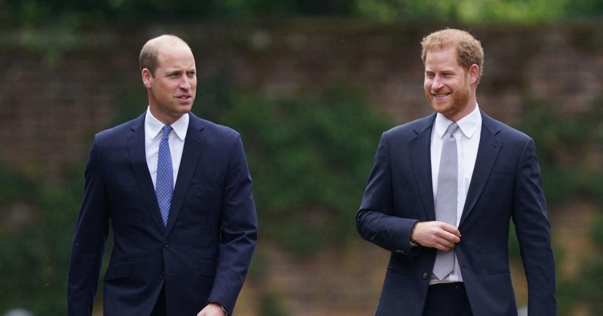 Prince William and Harry have a sister that no one knows Celebrity Gossip News