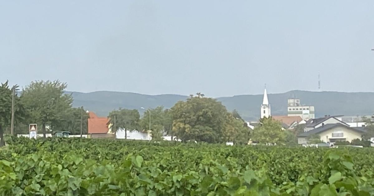 Schwarzarbeit-Gemeindeaufsicht-pr-ft-l-ngere-Historie-in-Deutschkreutz