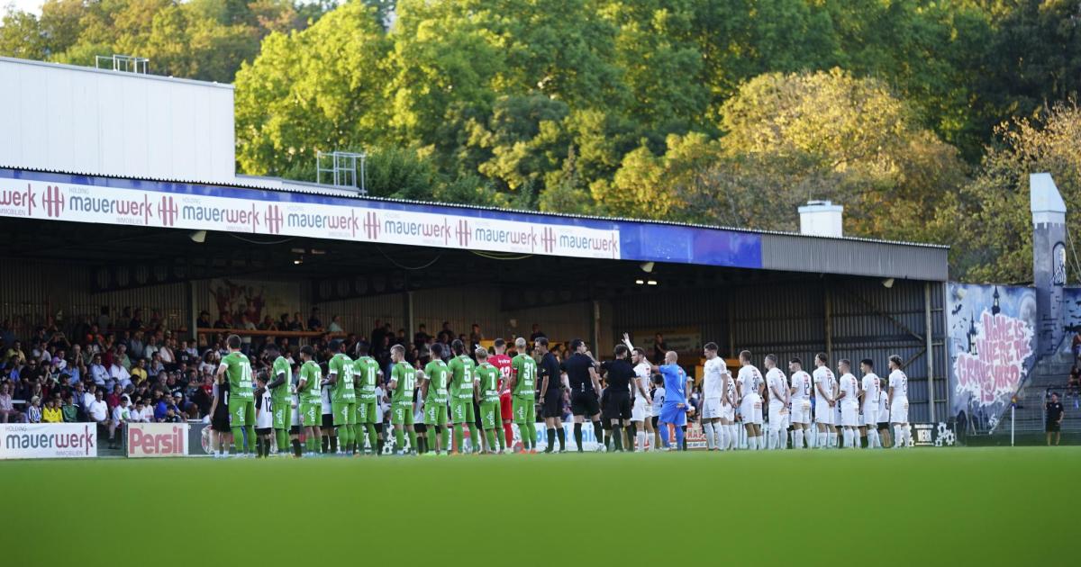 Wiener verliert sein Stadiondach