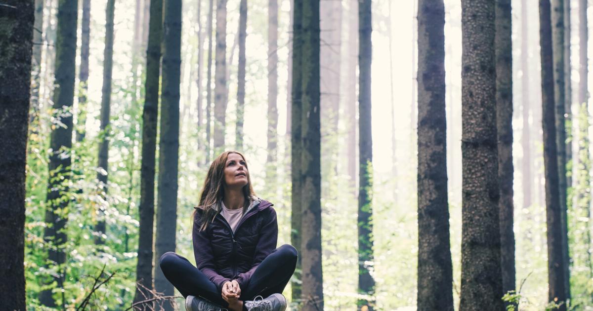 Stress ade! 20 Minuten im Wald reduzieren Cortisol und steigern Ihr Wohlbefinden