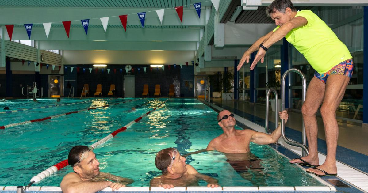 Wie Lange Können Kühe Schwimmen Angebot für die KURIER-Leserschaft: Schwimmen wie der Profi