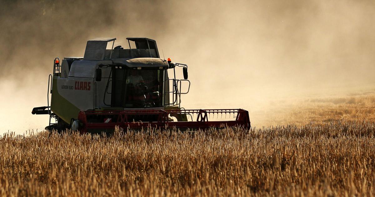 Partnersuche für die landwirtschaft