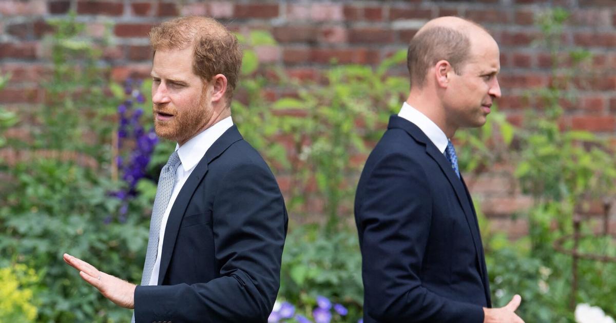 William-und-Harry-Kommt-es-2026-zum-Treffen-der-verfeindeten-Br-der-