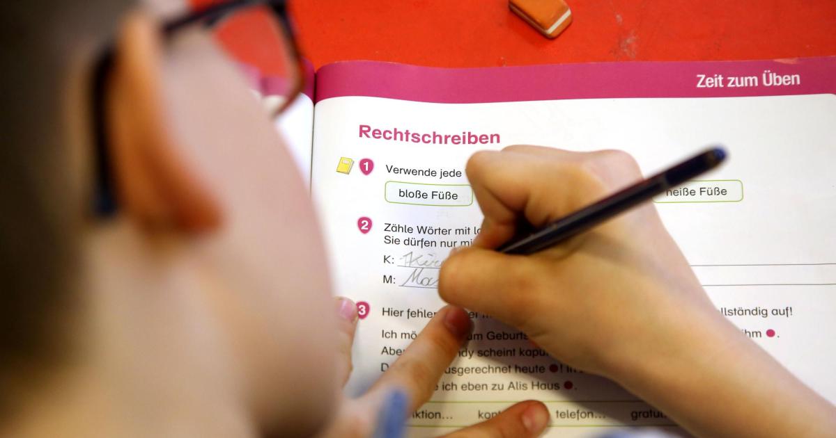 Experte: Vernachlässigt bitte nicht die Rechtschreibung! | Kurier
