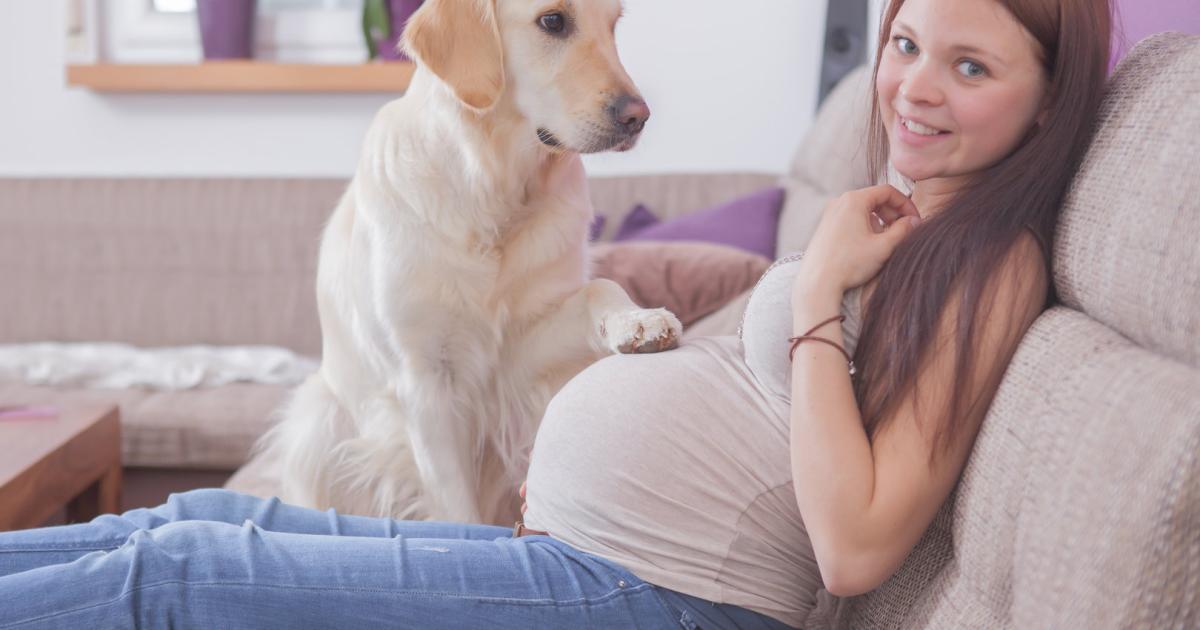 妊婦がペットを飼うべき理由