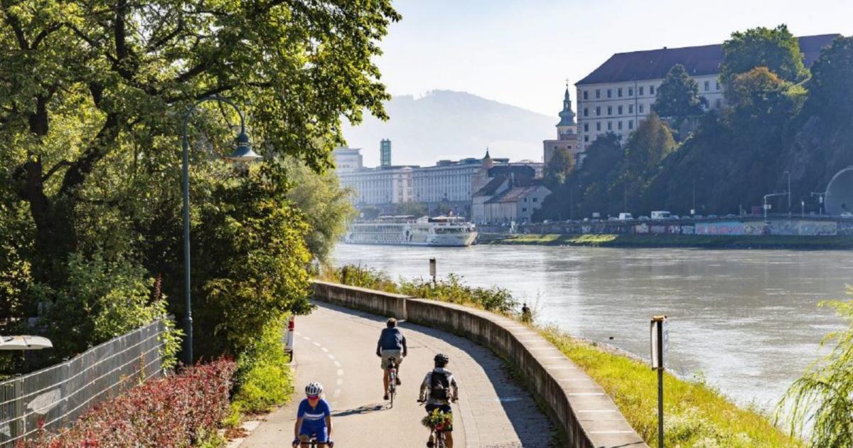 Faktencheck-Ober-sterreich-200-000-Schulkinder-und-hohe-Lebenserwartung