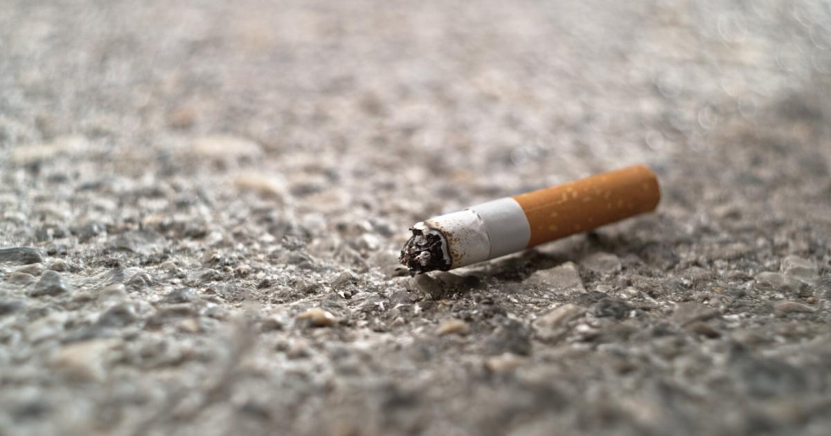 Wer-bestraft-in-Wien-die-Umweltverschmutzer-