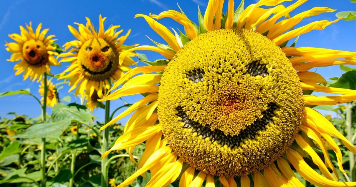 Gro-artige-Kleinigkeiten