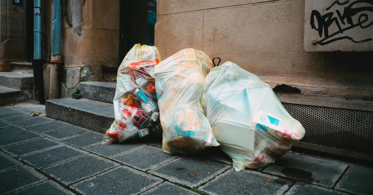 Zwei-tote-Katzen-in-Tirol-In-einem-M-llsack-im-Geb-sch-versteckt