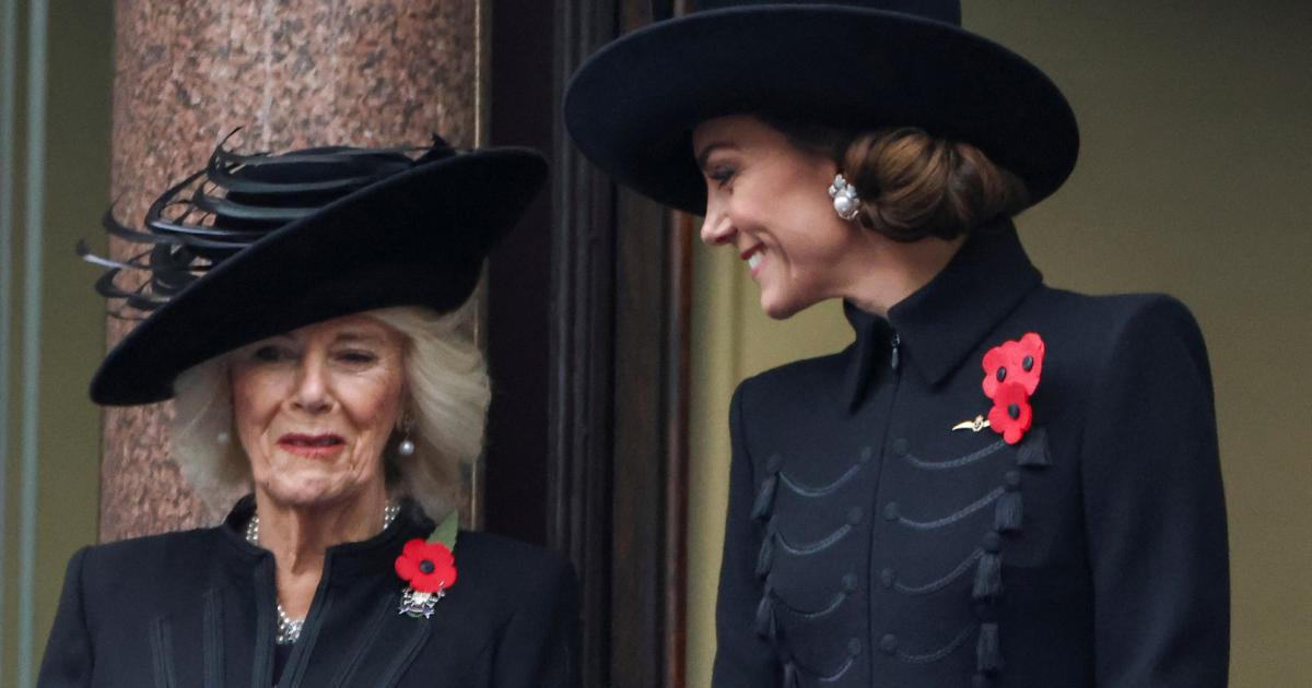 Royal Family Remembrance Day: Queen Camilla's Tribute And Confidence On ...